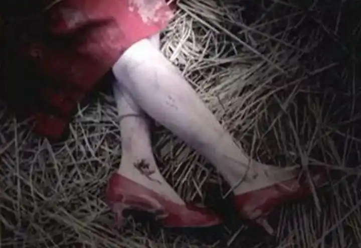 4个年轻女孩在山洞集体被杀歹徒对她们狂刺60多刀究竟为什么