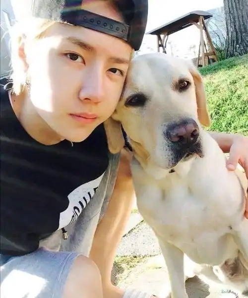 陪着他们玩 而且王一博也超级喜欢猫猫狗狗的 第一只猫叫赵书宇 它是