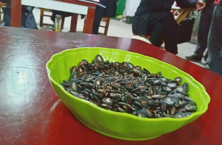 一盘瓜子放桌前