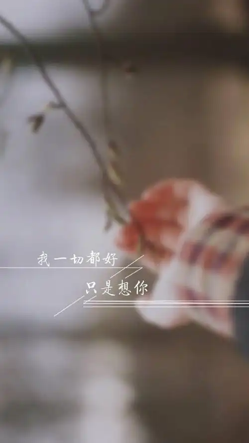 我想你文字图文精选 高清爱情文字语录图片