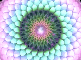 320_240gif 动态图 动图