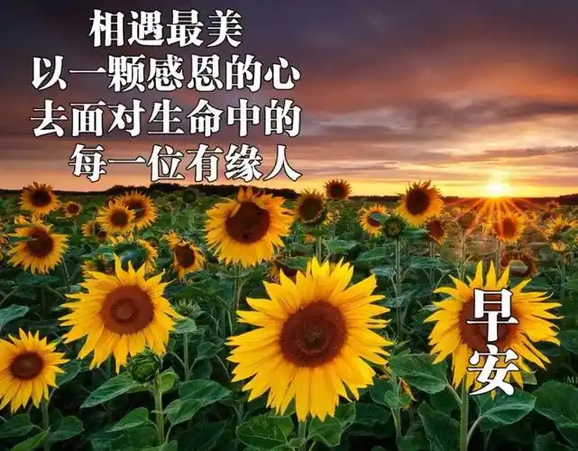 8张特别漂亮的早上好问候动画表情图片 免打字秋日早安动态表情图片