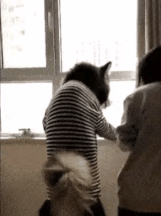 搞笑gif段子小姐姐吃的啥东西这表情可以生成表情包了