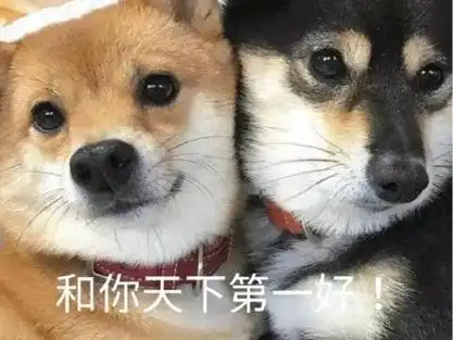 和你天下第一好(狗狗表情包)_天下第一_狗狗表情