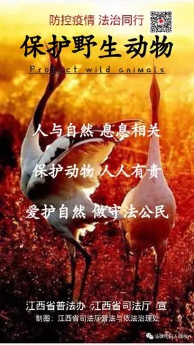 防控疫情 法治同行——保护野生动物禁止非法交易野生动物 革除滥食