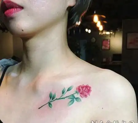 娇艳女人花,锁骨玫瑰花彩绘纹身