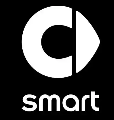 轻奢风的smart迈入全新赛道,精灵 1的出现会打破新能源市场吗?