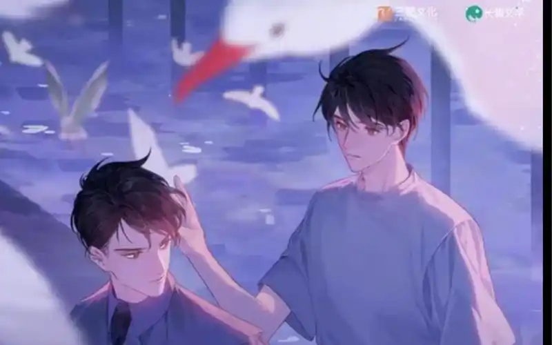 《飞鸥不下》完结撒花!