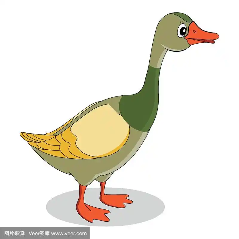 彩色鸭子-矢量图像