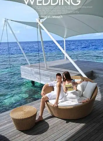 揭秘孙悦妻子陈露 曾陪孙悦走出"车震门"