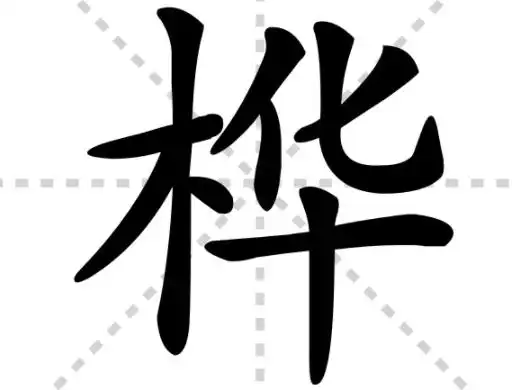 桦怎么读 桦字拼音怎么念