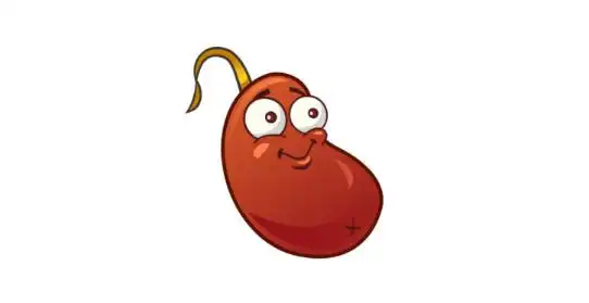 植物大战僵尸2巴豆是什么-植物大战僵尸2巴豆效果分享 - 天晴下载