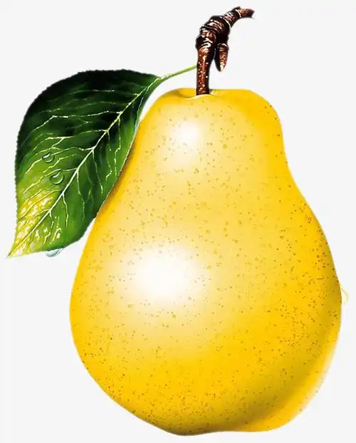 水果图片,水果,梨,植物素材免费下载_觅元素
