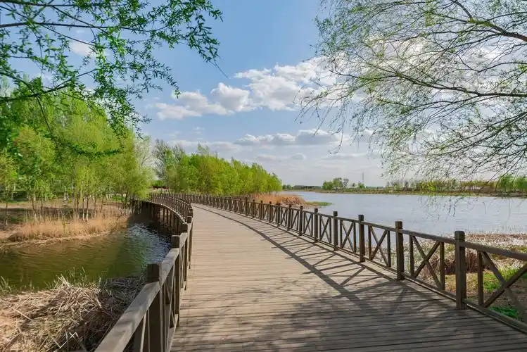 蒲河公园湿地随拍