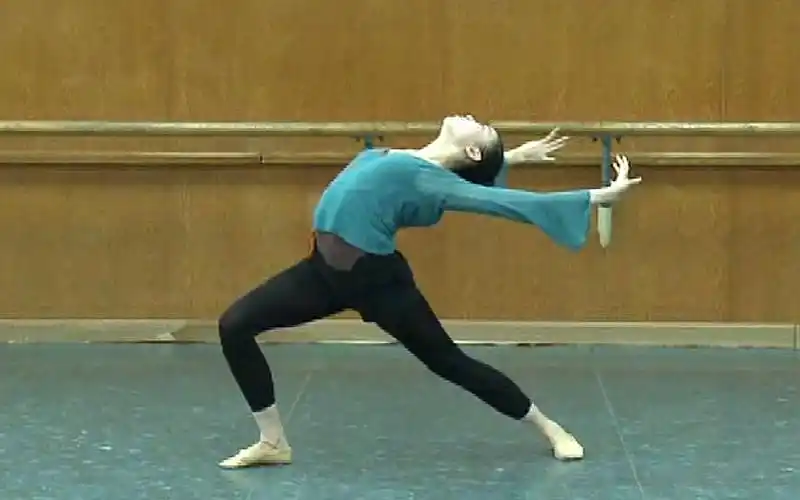 (1/1)古典舞基本功【梅玉炫老师】示范【腰部训练】0201