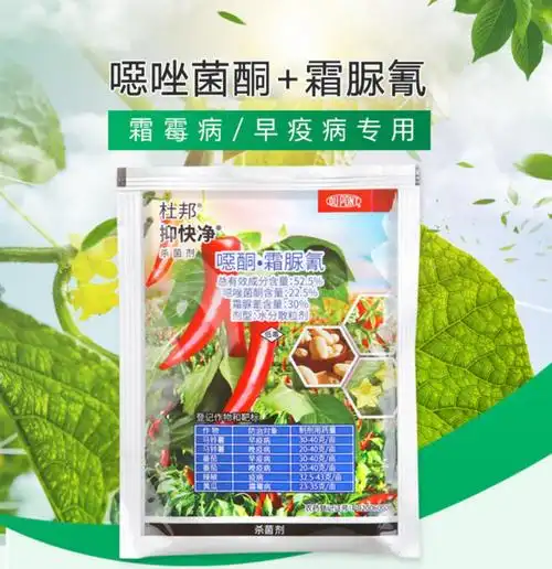 杜邦抑快净恶唑菌酮霜脲氰葡萄黄瓜晚疫霜霉病农药杀菌剂925g9g
