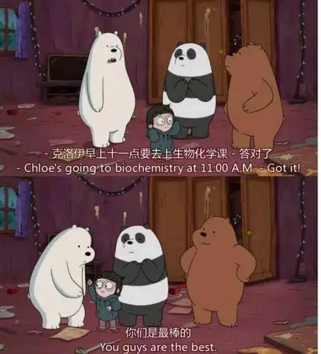 咱们裸熊:找男朋友就找白熊这种