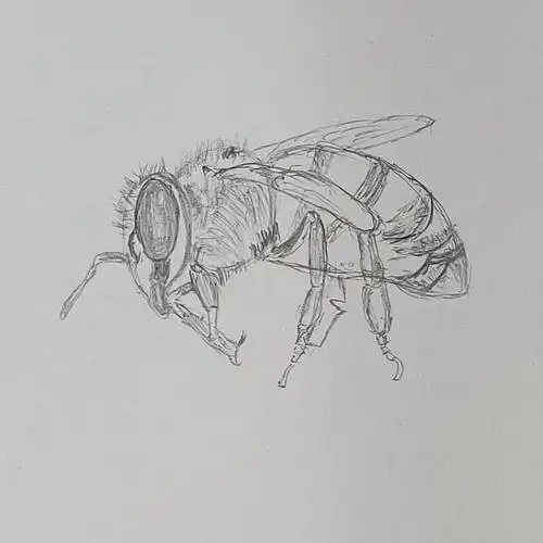 日常手绘第一期