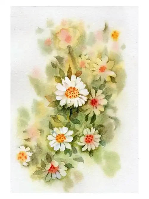 no297水彩小雏菊