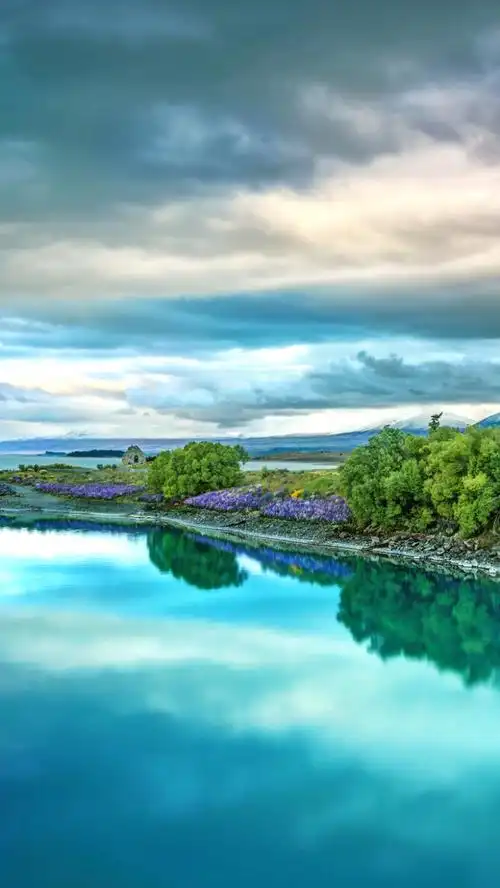 小清新,绿色,田园风光,河流,树木,花朵,h5,开心,快乐,摄影,风景