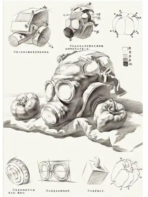 素描静物入门教程讲解