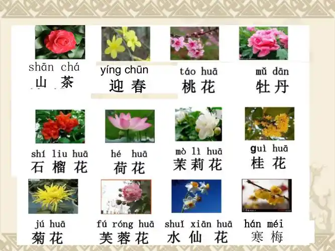 ppt教案d05d7.doc--点击预览十二月花名歌.