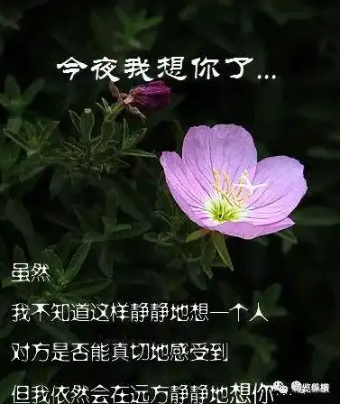 却深深的思念着有一种人虽然不在身边,却默默的牵挂着无论见与不见,都