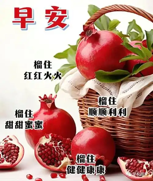 最新版漂亮早安祝福语表情图片大全,早安问候语愿君愉快吉祥安康!