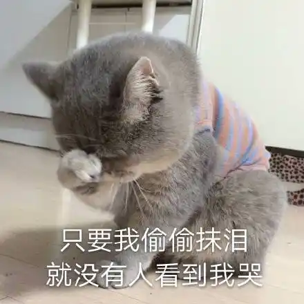 只要我偷偷抹泪,就没有人看到我哭(猫咪表情包)_猫咪_抹泪_偷偷_只要