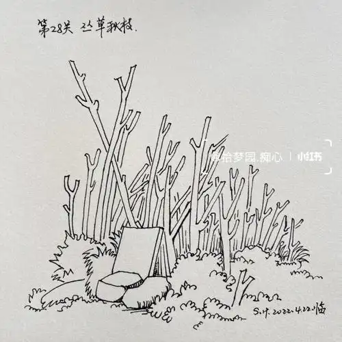 钢笔速写打卡第28关丛草秋枝带步骤
