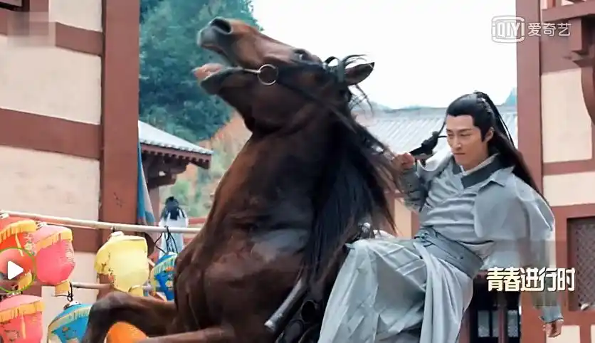 看了《楚乔传》才发现,窦骁这块鲜肉有点硬