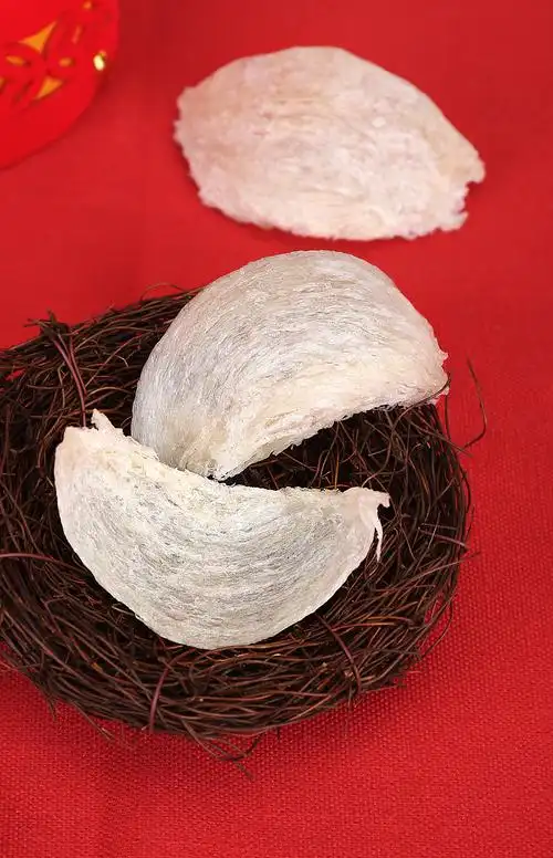 燕窝新年图拍摄