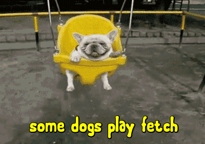 狗狗荡秋千可爱搞笑gif动图_动态图_表情包下载_soogif