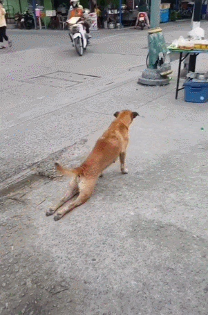 301_455竖版 竖屏gif 动态图 动图