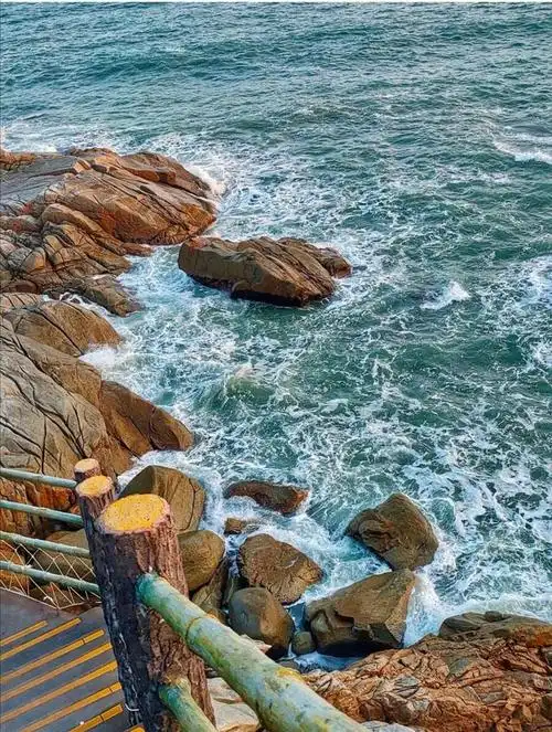 深圳周末去处,惠州双月湾海龟自然保护区