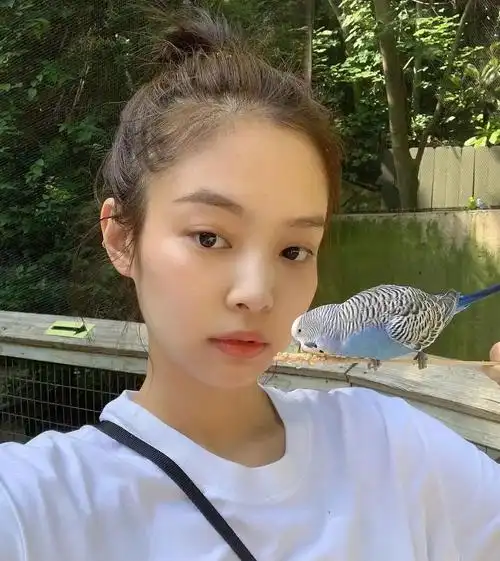 jennieins动物园