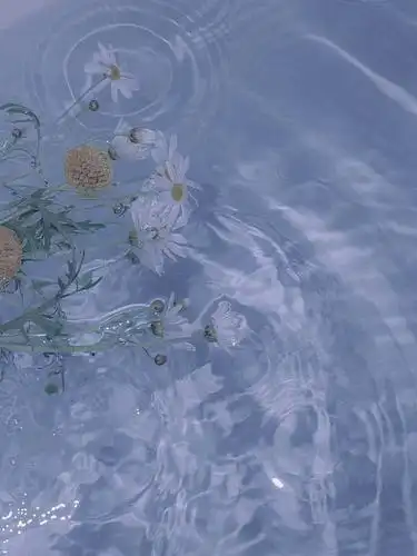 ins风 - 堆糖,美图壁纸兴趣社区