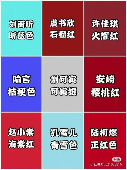 九人团「the 9」各家粉丝昵称,应援色,应援口号,你的漂亮小姐姐
