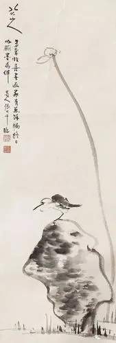 八大山人花鸟画一花一鸟皆是悲啼
