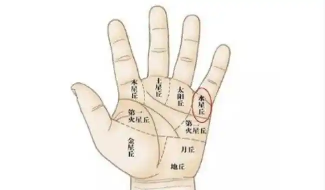 对感情执着对另一半专心的男人手相