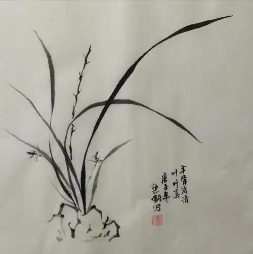国画基础入门课——梅兰竹菊