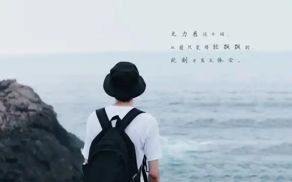 无能为力的心情说说配图001563孤独的木偶人背影00377一颗没有人要的