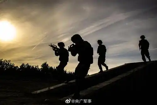 酷!这组剪影定格武警特战队员的英姿