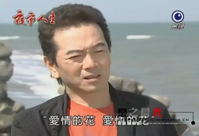 电视剧玫瑰豪情主演张晨光照片