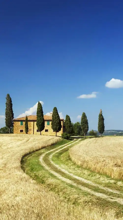 风景 城市 乡村 鲜花 花瓶 天空 灯火 建筑物 河流 白云 水果 雪 房子