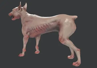 pbr次世代 变异狗 僵尸狗 生化危机 怪物 boss 异形