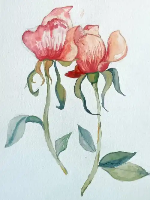 这次用的是细纹纸进行练习的,感觉对于一个初学水彩画的麻瓜来说,细纹