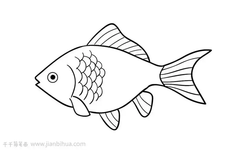 热带鱼简笔画 幼儿学画