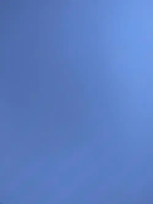 蓝- vivo官方社区