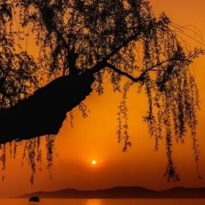 千鹤/夕阳西下/唯美意境背景图_风景静物头像_我要个性网